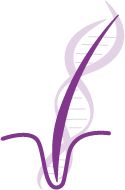 Representação DNA